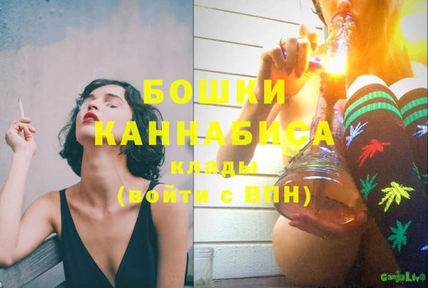 МДПВ Новодвинск