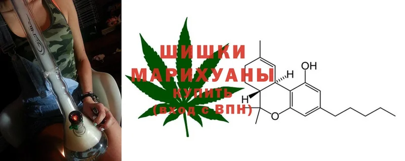 Конопля OG Kush  Пучеж 